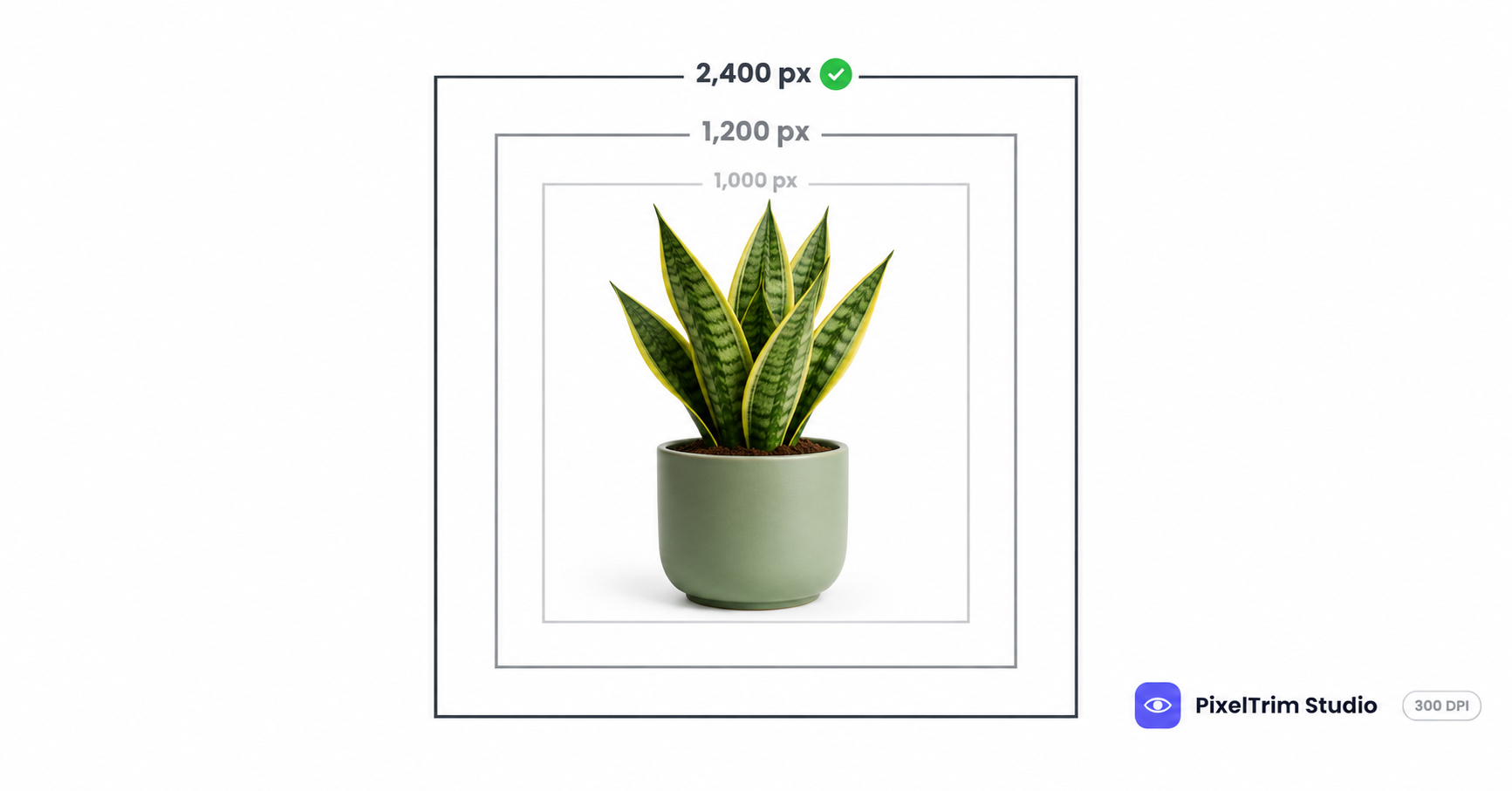 Target Plus Image Requirements: Size, Square Crop, 300 DPI